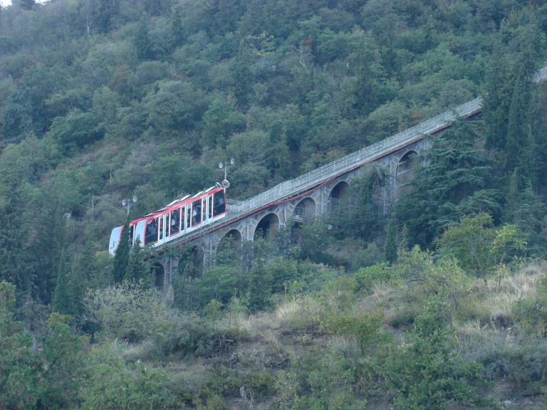 Tamari's View Point